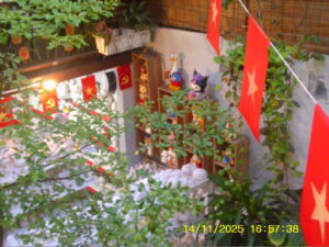 CUỘC SỐNG VÀ NHỮNG NHỊP THỞ