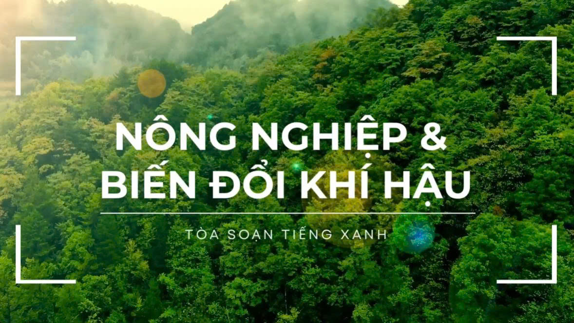 [BAN XÃ HỘI - MÔI TRƯỜNG] RECAP FIELD TRIP: MỘT CHUYẾN ĐI - MỘT KÍ ỨC
